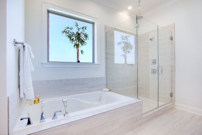 elegant white bathroom with palm tree in window